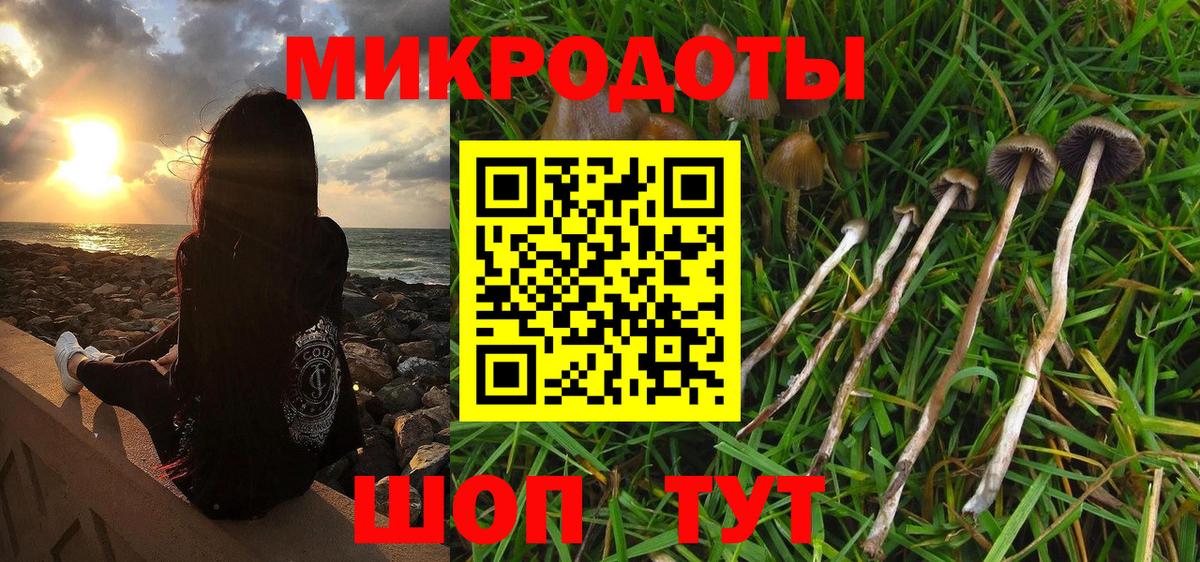 Галлюциногенные грибы прущие грибы Калининград
