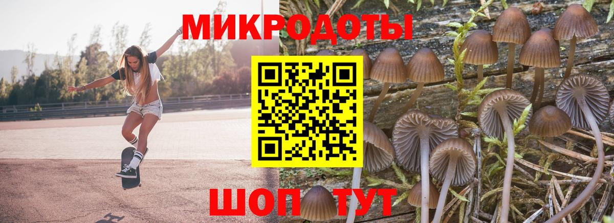 Псилоцибиновые грибы Psilocybe  Псилоцибиновые грибы Psilocybine cubensis  Вход с VPN  Калининград 